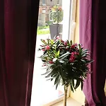 Berliner Hof Hotell 3*