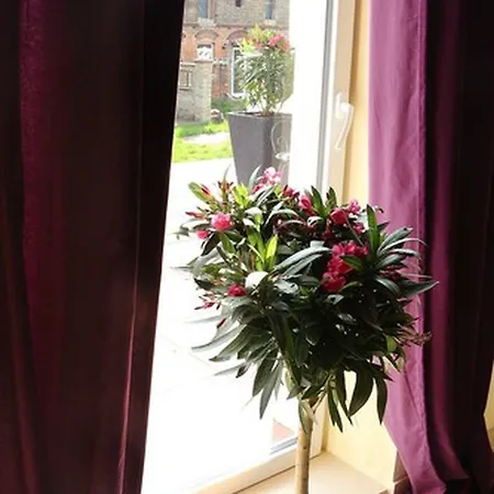 Berliner Hof Hotel 3*